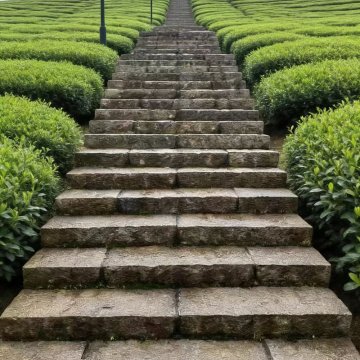 台阶石